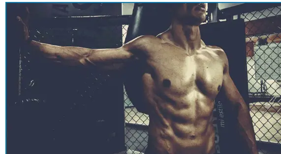 fitness trainer: top 5 compelete guidance for beginners Screenshot 2025 12 23 182053